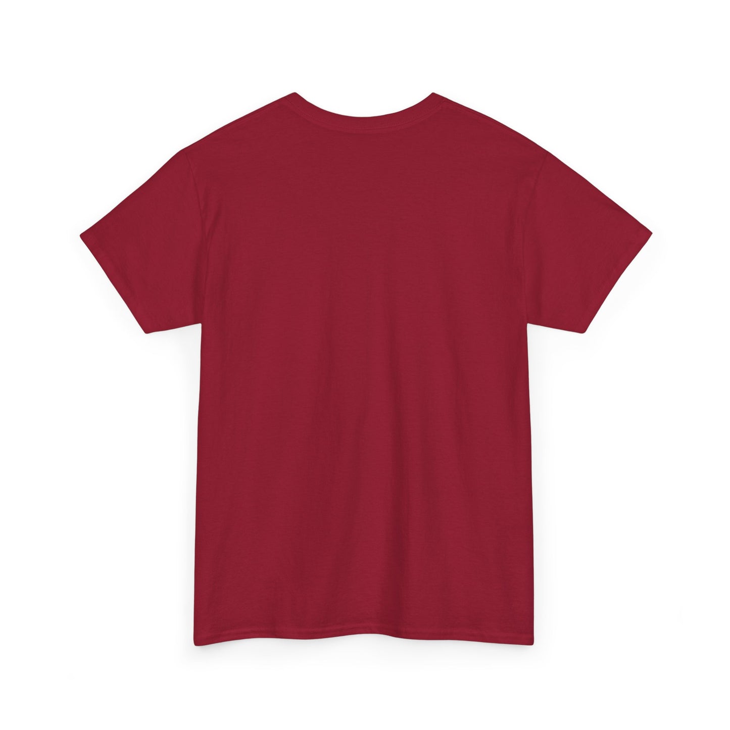 Plesure Unisex Heavy Cotton Tee